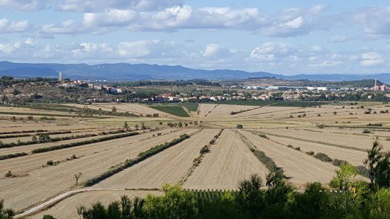 Étang de Montady