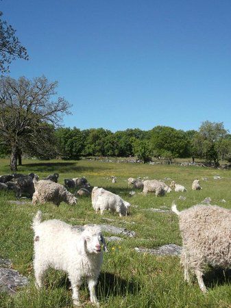 La Ferme de Siran